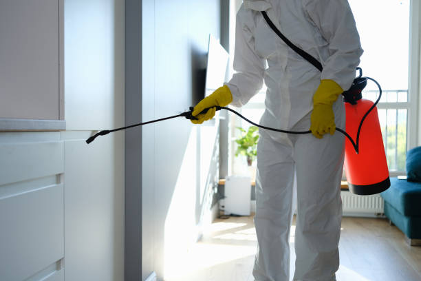 Professional Mold Remediation in Upland, PA